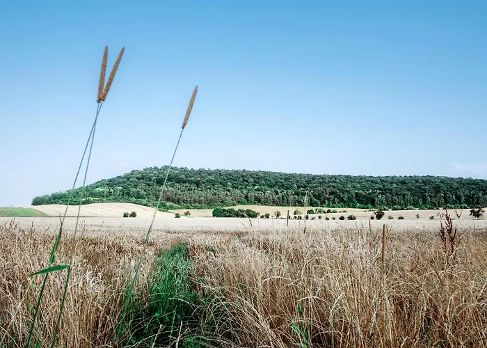 Alva 松德斯豪森