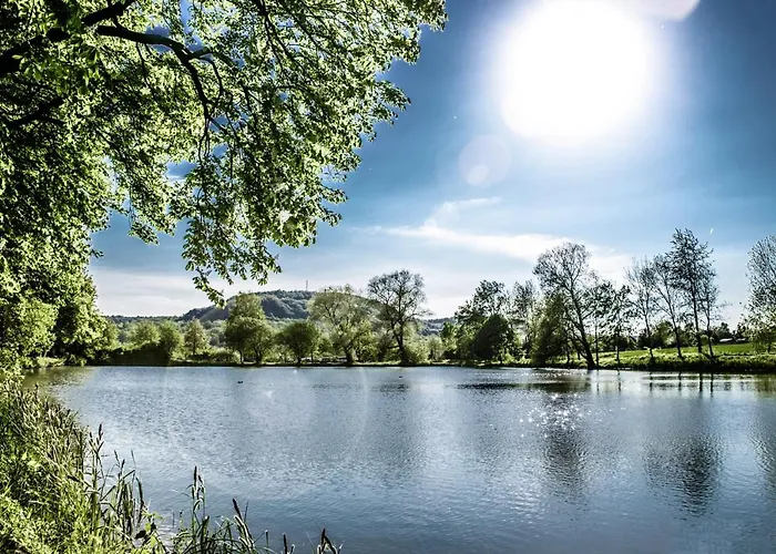 Апартаменты Alva *